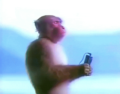 chill monkey